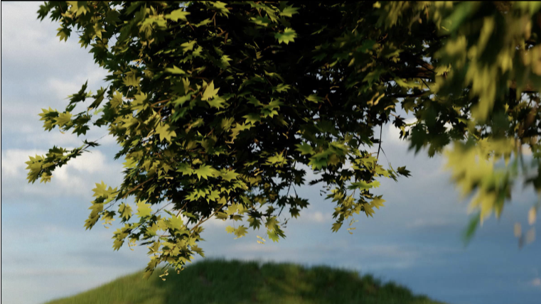 Laubwerk樹木 プロシージャル・季節アニメーション対応